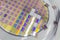 Silicon wafer with microchips fixed in a holder with a steel frame after the dicing process and separate microchips