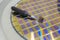 Silicon wafer with microchips, fixed in a holder with a steel frame on a gray background after the process of dicing. Microchip