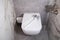 Silicone brushes for cleaning the toilet lie on the lid of the wall-hung toilet. The concept of care and cleaning the