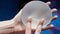 Silicone female breast implant is the main object of plastic surgery in human hands. Demonstration of the qualities of a