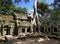 A silk-cotton tree consumes the ancient ruins of Ta Prohm, Angkor, Cambodia