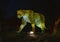 Silk covered cheeta animal lantern at night at the Dallas Zoo in Texas.