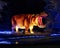 Silk covered hippopotamus animal lantern at night at the Dallas Zoo in Texas.