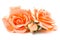 Silk orange roses