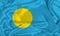 Silk Palau Flag