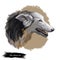 Silken windhound dog isolated digital art illustration. Hand drawn dog muzzle portrait, puppy cute pet. Dog breeds from