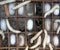 Silkworms and their cocoons on a natural silk production farm.