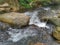 Silky smooth water river bank in jungle forest.