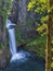 Silky Toketee Falls Framed by Tree