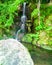 Silky waterfall running trough green vegetation and over moss co