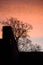 Sillhouette of building`s facade and tree, during beautiful sunrise.