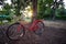 sillhouette pic /Backlight with red bicycle in the park.