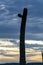 Sillhouette saguaro cactus in late evening sunset or sunrise with orange and dark looming storm clouds above