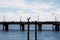 Sillouette of Pelican and Pier