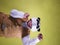 Silly man dancing and celebrating with a panda head mask on a yellow background. Video in vertical format