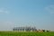 Silos in a barley field. Storage of agricultural production. In field