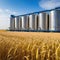 Silos in a barley Storage of agricultural