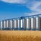 Silos in a barley Storage of agricultural