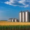 Silos in a barley Storage of agricultural