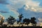 Silouette of eualyptus trees against panoramic sunset with cumulus, nimbus clouds