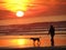 Siluette of woman & dog walking on a beach with a sunset background