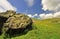 Silurian Boulder, Yorkshire Dales