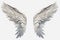 Silver angel wings on a white background