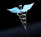 Silver caduceus