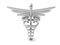 Silver caduceus sign