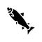 silver carp glyph icon vector illustration