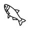 silver carp line icon vector illustration