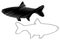 Silver carp silhouette vector