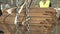 Silver Chain Moving Through Tied Up Bundle Of Rusty Steel Bars - Close Up