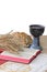 Silver chalice, bible, bread on white background