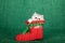 Silver Chinchilla kitten sitting inside red Santa Christmas boot shoe on green background