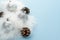 Silver Christmas balls and fir cones on white fluff on blue background