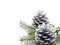 Silver Christmas Pine Cones