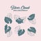 Silver cloud, philodendron vector illustration set