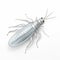 Silver Cockroach Icon: Polished Metamorphosis In Translucent Color