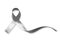 Silver color ribbon isolated on white background clipping path for Parkinson`s disease awareness and Brain cancer tumor illness