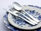 Silver Cutlery decorated plates closeup