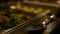 Silver cutlery served on organic dinner buffet in dark hotel restaurant closeup