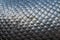 Silver dragon scales background