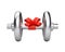 Silver dumbbell with gift ribbon