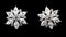 Silver earrings with diamonds