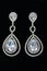 Silver earrings with jewels