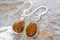 Silver earrings with mineral tyger eye gemstone on rocky background