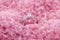 Silver engagement ring with diamond on pink background