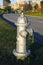 Silver Fire Hydrant