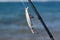 Silver fishing lure in fishing rod